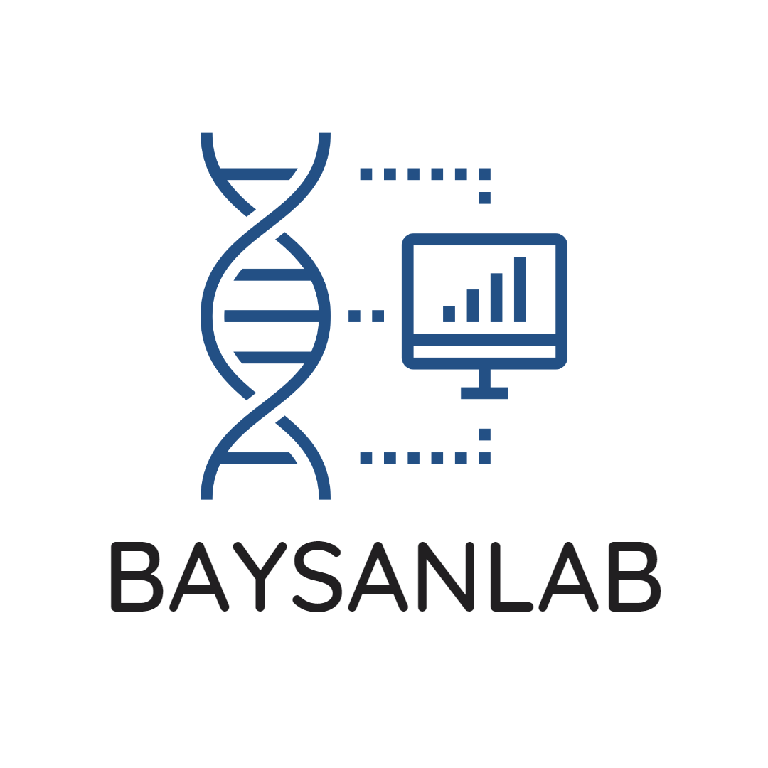 Baysan Lab