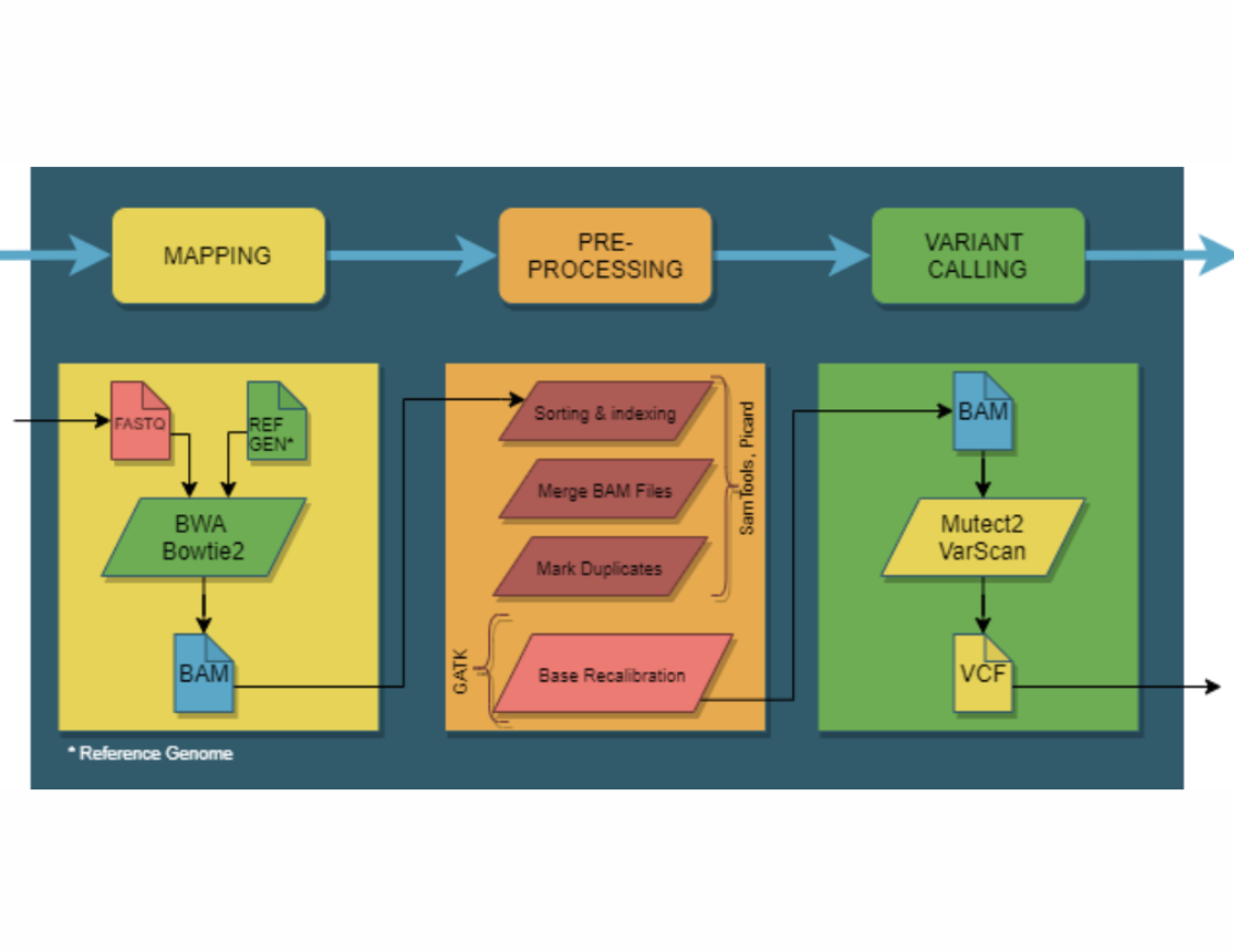 Comprehensive Evaluation of Major Analysis Parameters for Somatic Whole Exome Sequencing