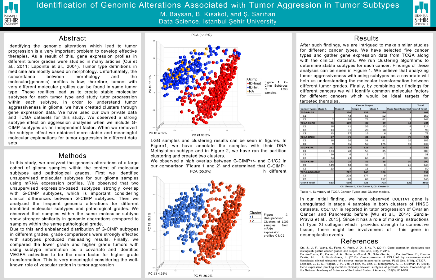 Identification of Genomic Alterations Associated with Tumor Aggression in Tumor Subtypes